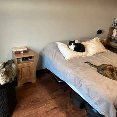 Xena, Sophie, & Midna